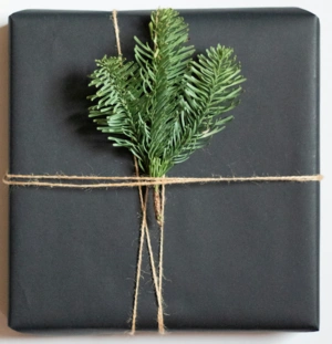 Inédits: cadeaux. Image par Fiona Murray-deGraaff on Unsplash